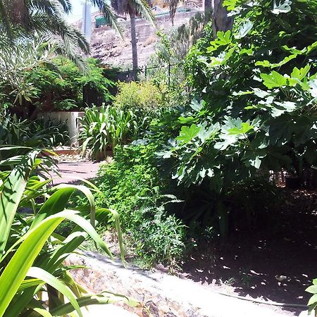 El Jardin Daire Mogán Dış mekan fotoğraf